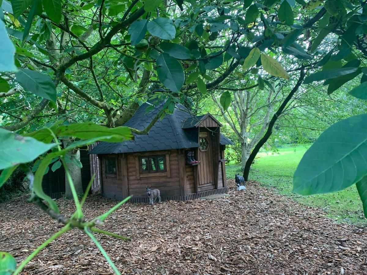 Starry Meadow & Rescued Animal Experiences Villa Great Yarmouth Dış mekan fotoğraf