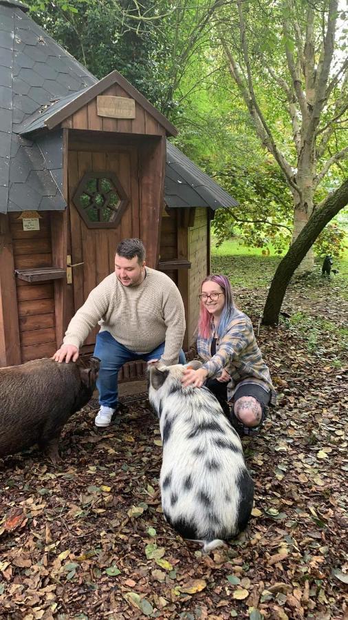 Starry Meadow & Rescued Animal Experiences Villa Great Yarmouth Dış mekan fotoğraf