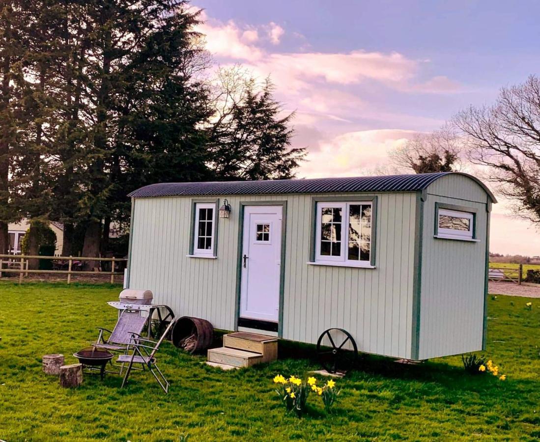 Starry Meadow & Rescued Animal Experiences Villa Great Yarmouth Dış mekan fotoğraf