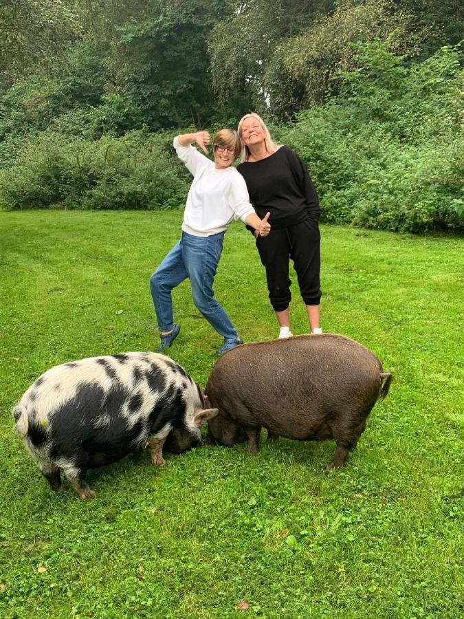 Starry Meadow & Rescued Animal Experiences Villa Great Yarmouth Dış mekan fotoğraf