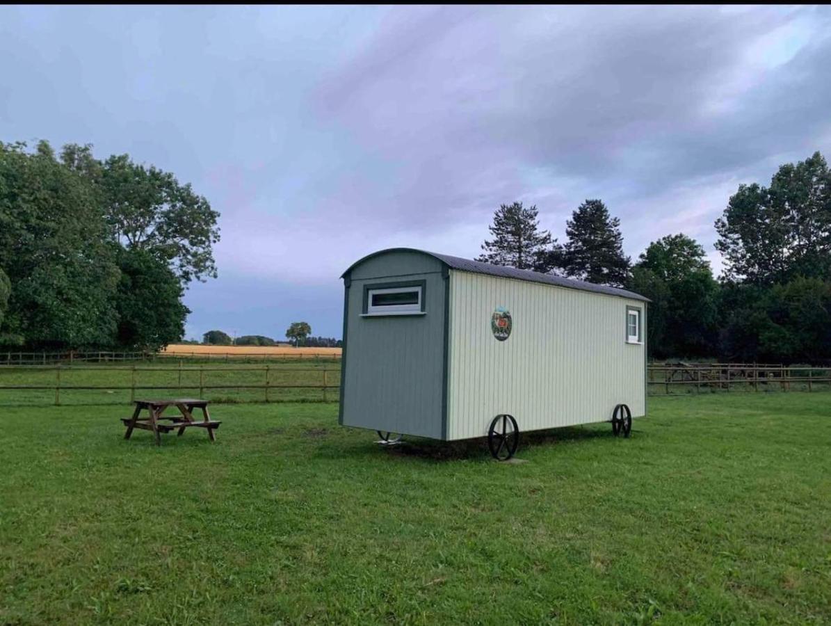 Starry Meadow & Rescued Animal Experiences Villa Great Yarmouth Dış mekan fotoğraf