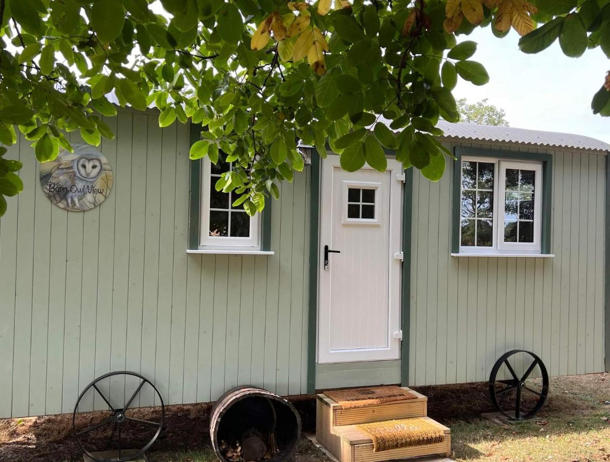 Starry Meadow & Rescued Animal Experiences Villa Great Yarmouth Oda fotoğraf