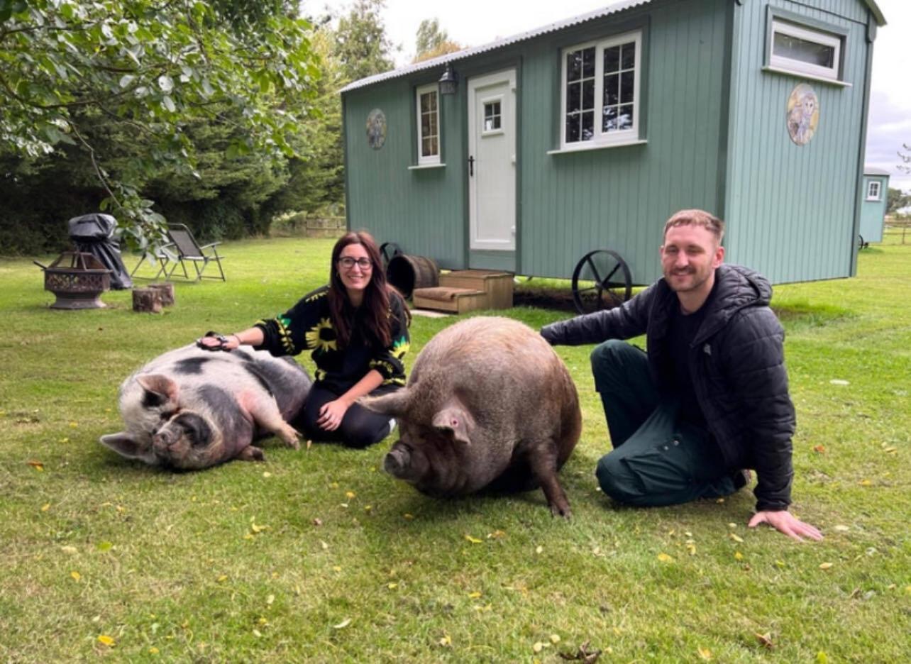 Starry Meadow & Rescued Animal Experiences Villa Great Yarmouth Dış mekan fotoğraf