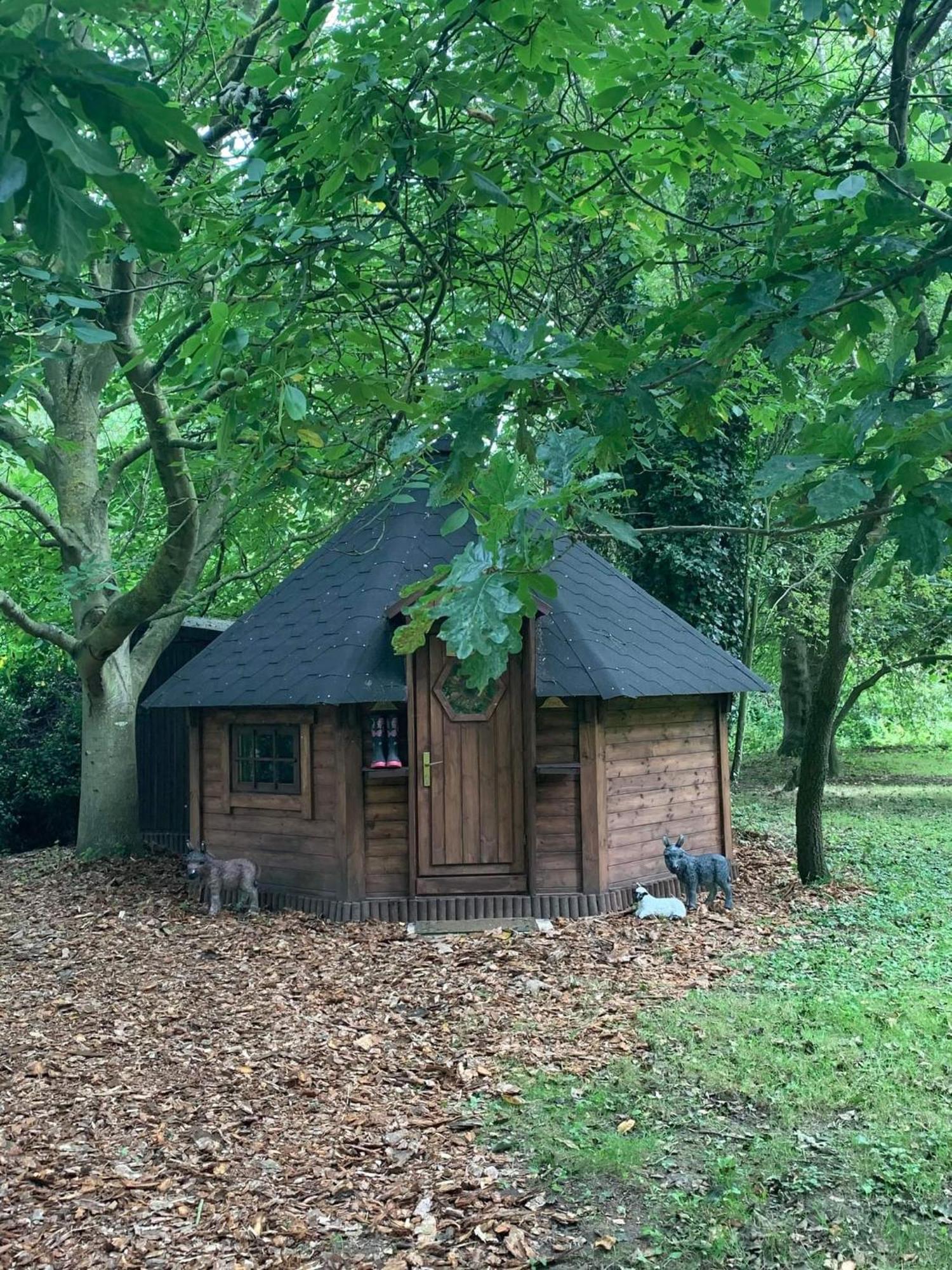 Starry Meadow & Rescued Animal Experiences Villa Great Yarmouth Oda fotoğraf