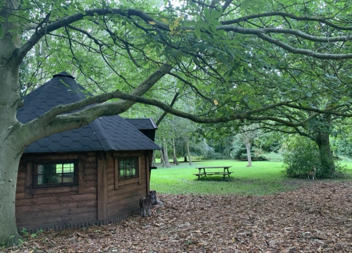Starry Meadow & Rescued Animal Experiences Villa Great Yarmouth Dış mekan fotoğraf